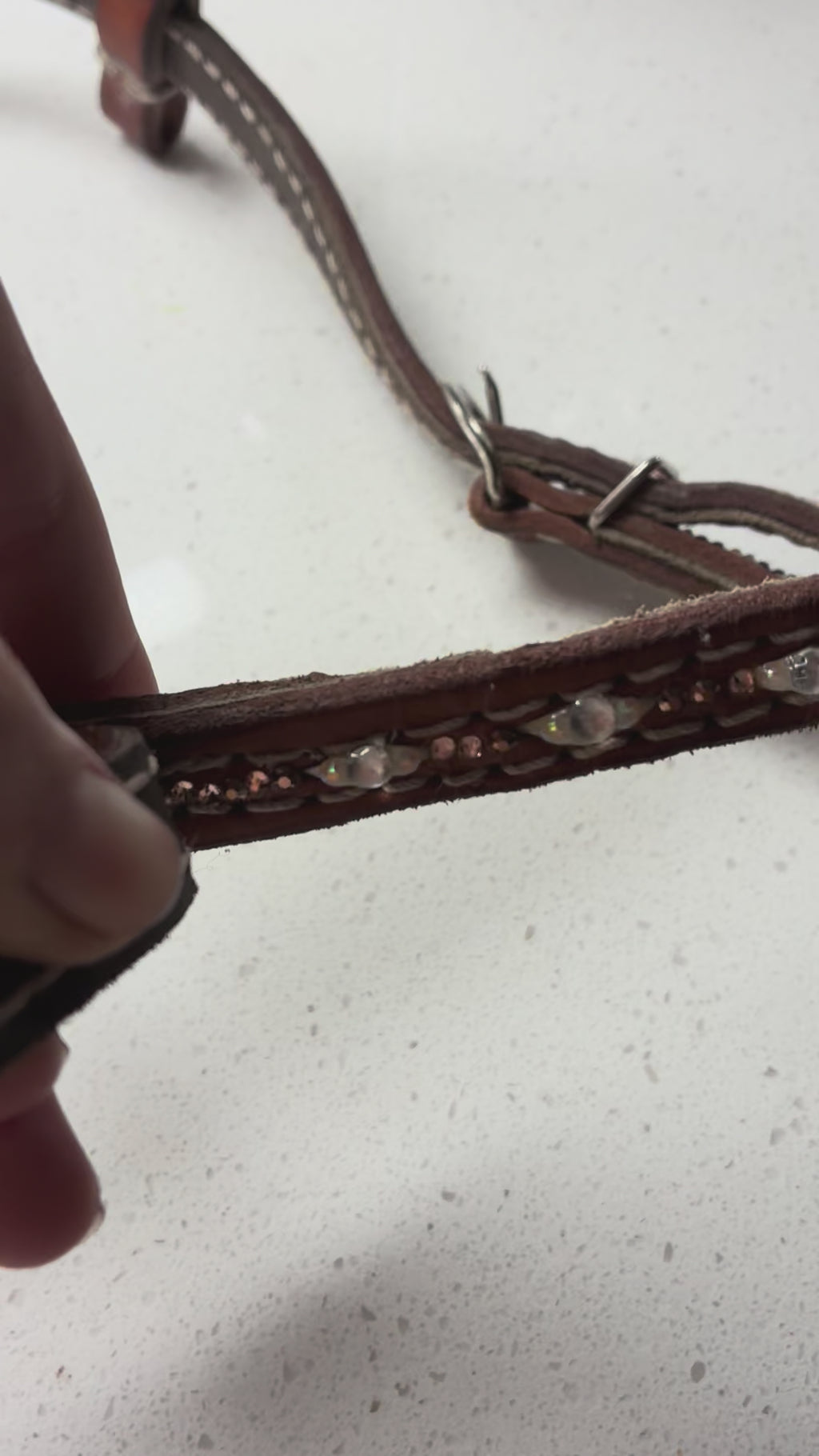 Golden western bridle