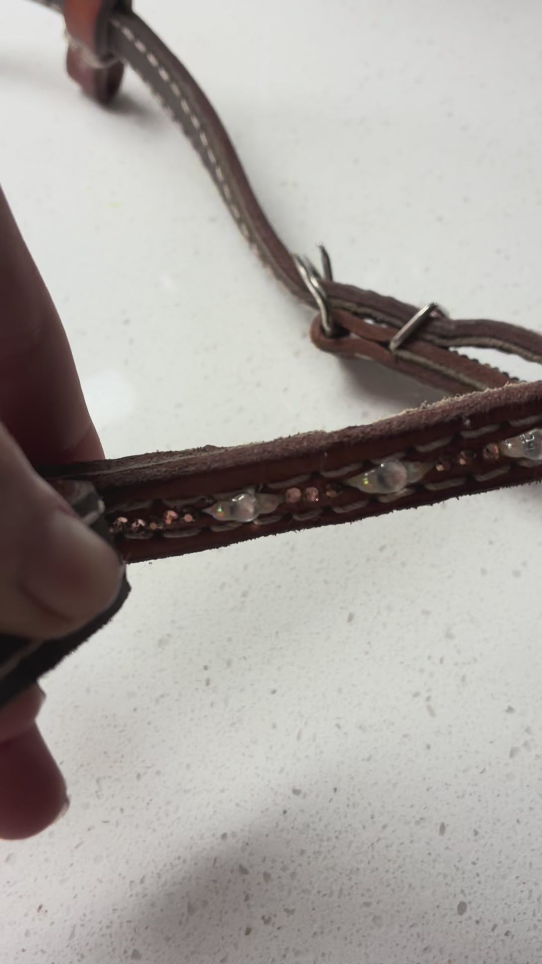 Golden western bridle